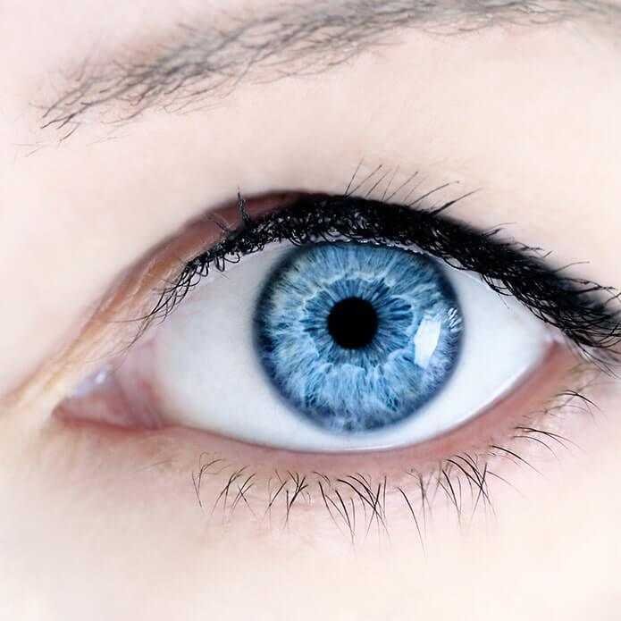 PERCEPÇÃO VISUAL E AS CORES