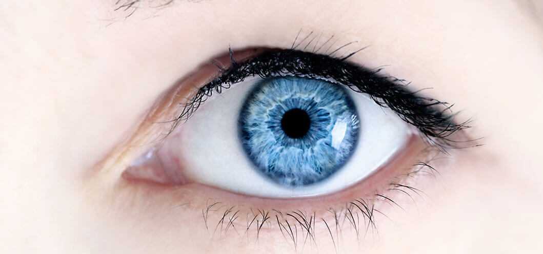 PERCEPÇÃO VISUAL E AS CORES